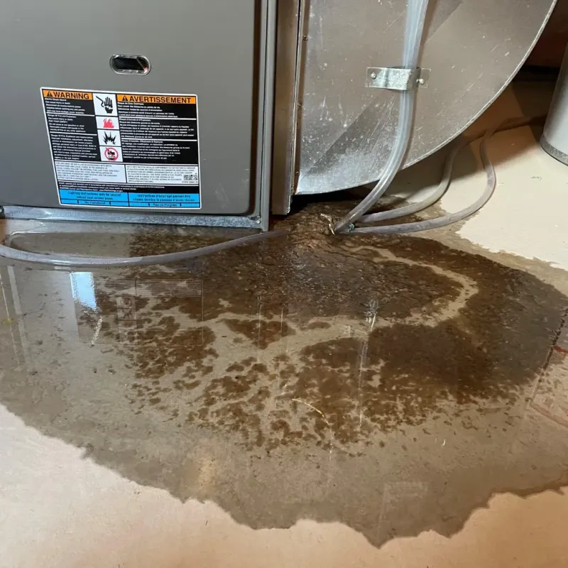 Appliance Leak Cleanup in Glenwood, AR